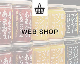 WEB SHOP