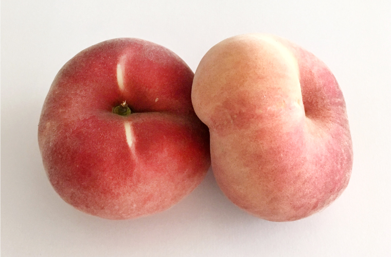 もの語り Story - 桃特集｜株式会社セゾンファクトリー | SAISON